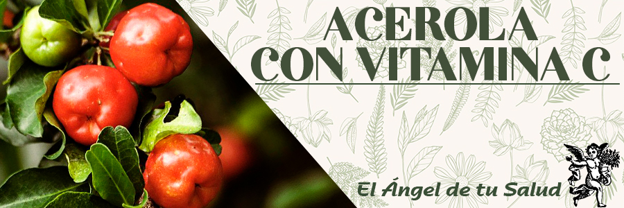 Previene las enfermedades cardiacas ya que el ácido ascórbico disminuye el colesterol lo que evita que la grasa se adhiera a los vasos sanguíneos, reduciendo la posibilidad de sufrir infartos. De igual manera, ayuda a la absorción de hierro.