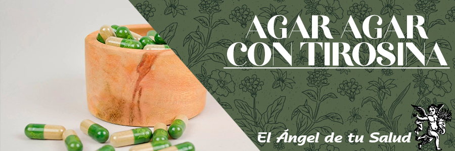 Participa en la formación de células rojas y blancas de la sangre y puede ayudar en el tratamiento de algunas enfermedades como el Parkinson. 