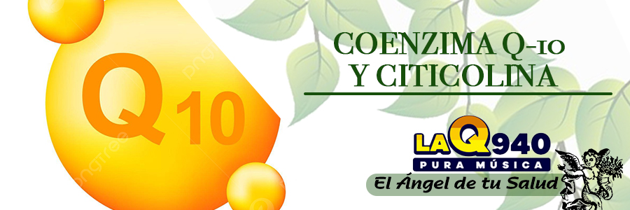 La función principal de esta molécula está relacionada con el proceso mediante el cual el oxígeno y los nutrientes se transforman en energía. Dentro de la célula existe un complejo mecanismo para obtener energía, del cual la Coenzima Q10 es una pieza fundamental.