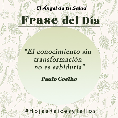 “El conocimiento sin transformación no es sabiduría” - Paulo Coelho