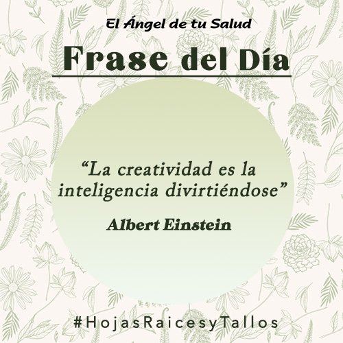 “La creatividad es la inteligencia divirtiéndose” - Albert Einstein