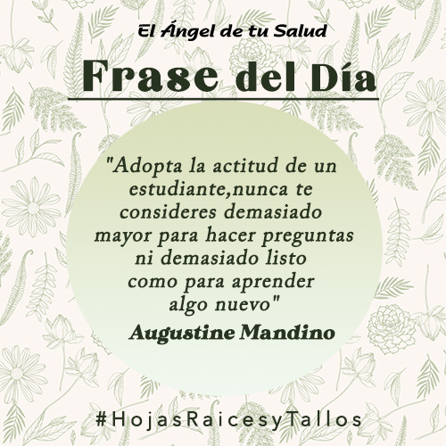 “Adopta la actitud de un estudiante, nunca te consideres demasiado mayor para hacer preguntas ni demasiado listo como para aprender algo nuevo.” - Augustine Mandino