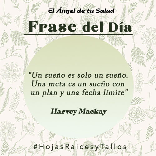 FRASE_16_junio.jpg