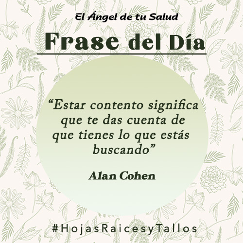 “Estar contento significa que te das cuenta de que tienes lo que estás buscando” - Alan Cohen