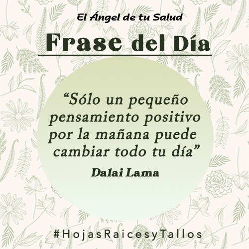 “Sólo un pequeño pensamiento positivo por la mañana puede cambiar todo tu día” - Dalai Lama