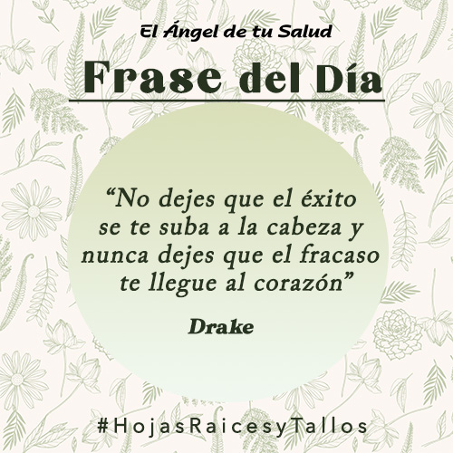 “Nunca dejes que el éxito se te suba a la cabeza y nunca dejes que el fracaso te llegue al corazón.” - Drake