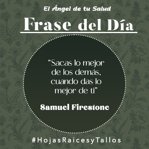 “Sacas lo mejor de los demás, cuando das lo mejor de ti” - Samuel Firestone