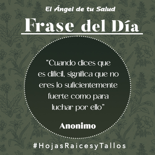 “Cuando dices que es difícil, significa que no eres lo suficientemente fuerte como para luchar por ello” - Anónimo