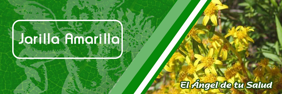 El extracto de la planta Jarilla, se usa en medicina popular para el tratamiento de muchos trastornos, ya que tiene características y propiedades antiinflamatorias y antirreumáticas