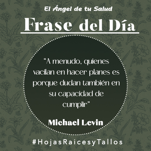 “A menudo, quienes vacilan en hacer planes es porque dudan también en su capacidad de cumplir” - Michael Levin