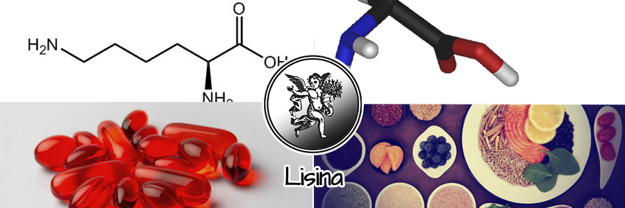 La lisina (abreviada Lys o K) es un aminoácido componente de las proteínas sintetizadas por los seres vivos. Es uno de los 8 aminoácidos esenciales para los seres humanos.