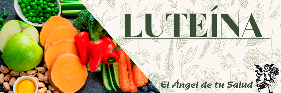 La luteína es un antioxidante producido por las plantas que pertenece a la familia de los carotenoides.
