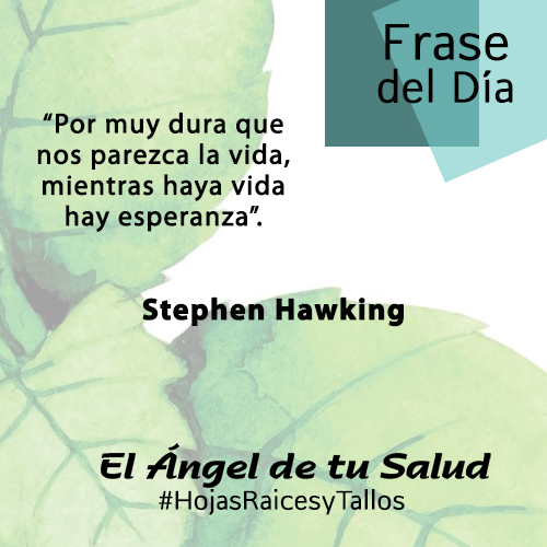 “Por muy dura que nos parezca la vida, mientras haya vida hay esperanza” - Sthephen Hawking