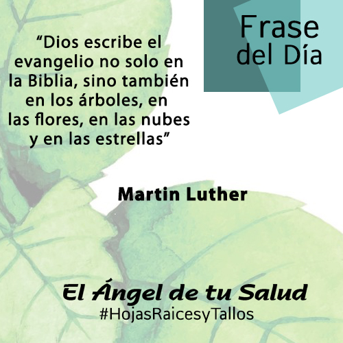 Dios escribe el evangelio no solo en la Biblia, sino tambin en los rboles, en  las flores, en las nubes y en las estrellas - Martin Luther