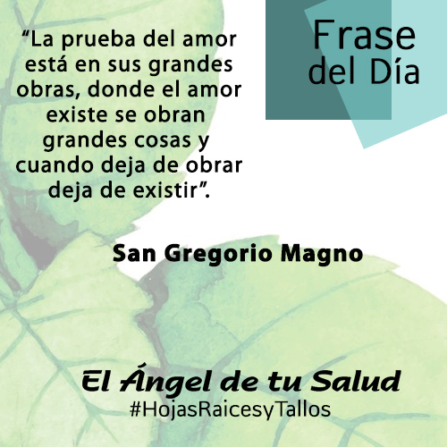 “La prueba del amor está en sus grandes obras, donde el amor existe se obran grandes cosas y cuando deja de obrar deja de existir” - San Gregorio Magno 