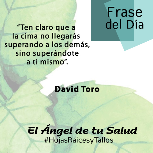 “Ten claro que a la cima no llegarás superando a los demás,sino superándote a ti mismo” - David Toro