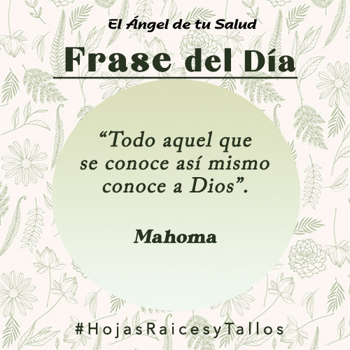 “Todo aquel que se conoce así mismo conoce a Dios” - Mahoma