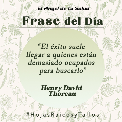 “El éxito suele llegar a quienes están demasiado ocupados para buscarlo” - Henry David Thoreau