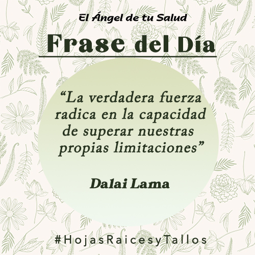 “La verdadera fuerza radica en la capacidad de superar nuestras propias limitaciones” - Dalai Lama