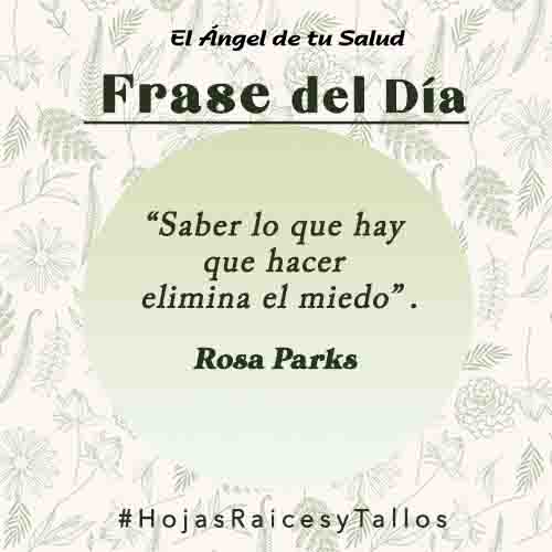 “Saber lo que hay que hacer elimina el miedo” - Rosa Parks