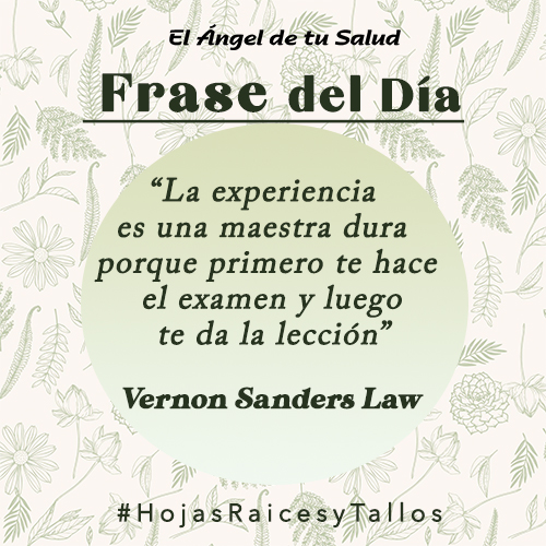 La experiencia es una maestra dura porque primero te hace el examen y luego te da la leccin - Vernon Sanders Law