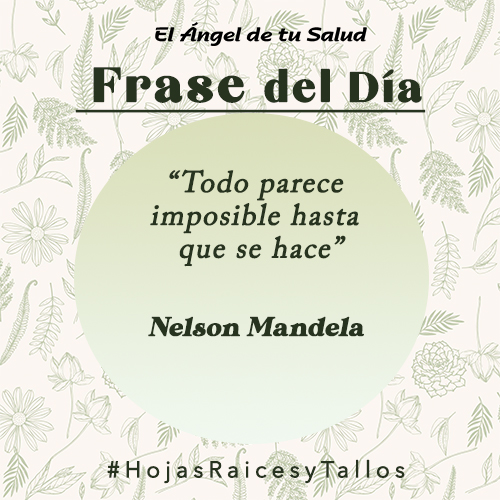 “Todo parece imposible hasta que se hace” - Nelson Mandela