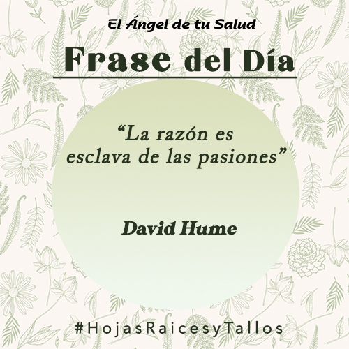 “La razón es esclava de las pasiones” - David Hume