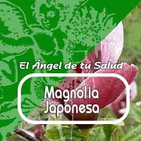 Entre las propiedades de la magnolia encontramos su capacidad para ayudarnos a perder peso, el consumo de magnolia nos permitirá tener un sistema digestivo funcionando al 100%, evitando el estreñimiento.
Además, tiene poder antiinflamatorio, y es utilizada para tratar la fiebre, el dolor de cabeza, el asma, la congestión, la gripe común, el dolor de muelas y el dolor de la sinusitis
