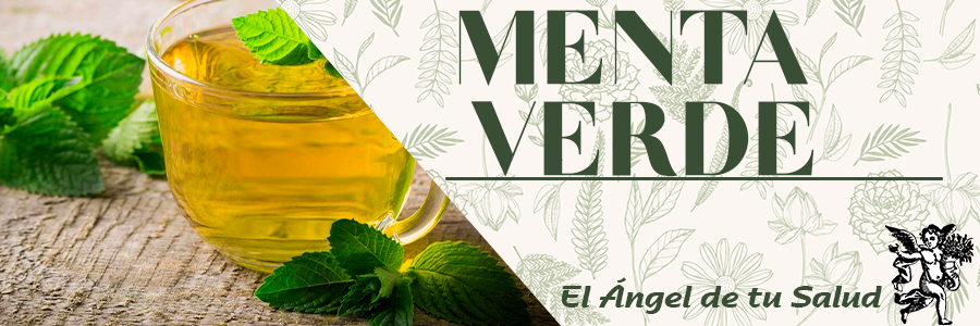 La menta es un remedio especial contra dolores del bajo vientre, calambres y pereza intestinal, y es apropiada especialmente par curar la mala digestión, malestares del estómago, mucosidades, etc.; quita también el mal aliento y fortifica las glándulas, nervios y corazón. 