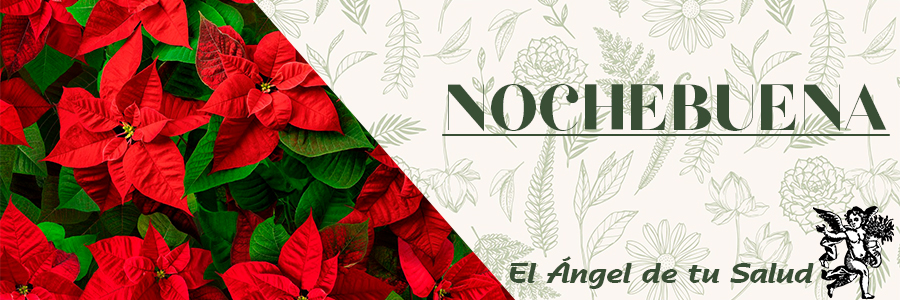 Reduce las verrugas y mezquinos gracias a su sustancia lechosa.