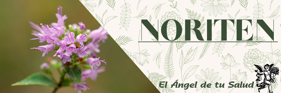 Funciona como tónico estomacal y se utiliza vulgarmente para el conocido 