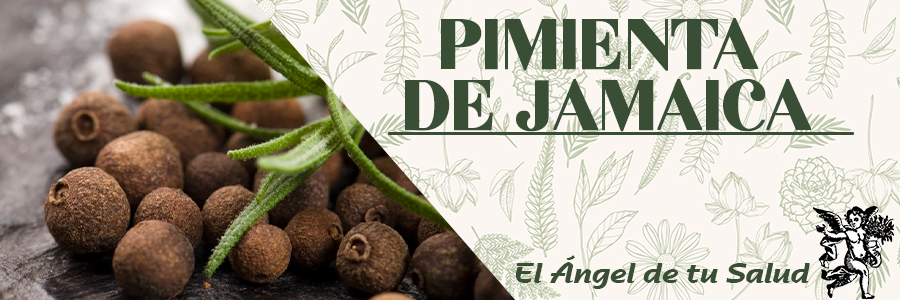 Es un carminativo aromático, que a menudo se usa como ayuda en el tratamiento de las flatulencias, la dispepsia y la diarrea. El eugenol tiene efectos locales como antiséptico y anestésico. El aceite es larvicida, antioxidante e intenfica el efecto de la tripsina. Se utiliza principalmente como condimentos y especia.