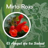 Planta mexicana que se utiliza en remedios caseros para aliviar nervios alterados, lavar los ojos, contener el vómito, contra diarreas acuosas y para contrarrestar el insomnio.