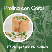 La prolina con coral es una excelente combinación para fortalecer huesos y articulaciones, es usado frecuentemente para el desgaste en rodillas