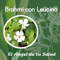 La excelente combinación de Brahmi con Leucina fortalece de manera favorable la memoria, siendo de gran utilidad en casos de Alzheimer.