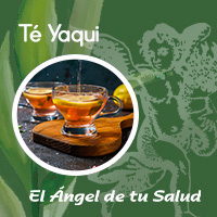 El té Yaqui disminuye el sangrado y la inflamación, proporciona asepsia, evitando que se contaminen las heridas rectales. 