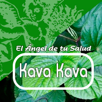 El Kava Kava ha sido utilizada exitosamente en Europa durante muchos años para el tratamiento de ansiedad e insomnio, menopausia y como relajante muscular. También esta indicado en los estados de estrés.