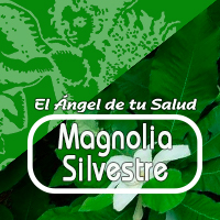 La magnolia es una planta reconocida por sus beneficios en la salud del corazón. Sus inflorescencias se emplean en el tratamiento de cefalea y problemas nasales, como obstrucción, rinitis ayuda, sinusitis y crónica.