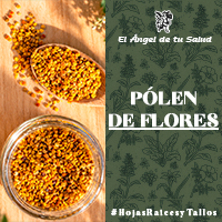 El polen, una sustancia que se obtiene de las flores de distintas plantas, contiene carbohidratos, grasas, proteínas y algunas vitaminas y minerales.