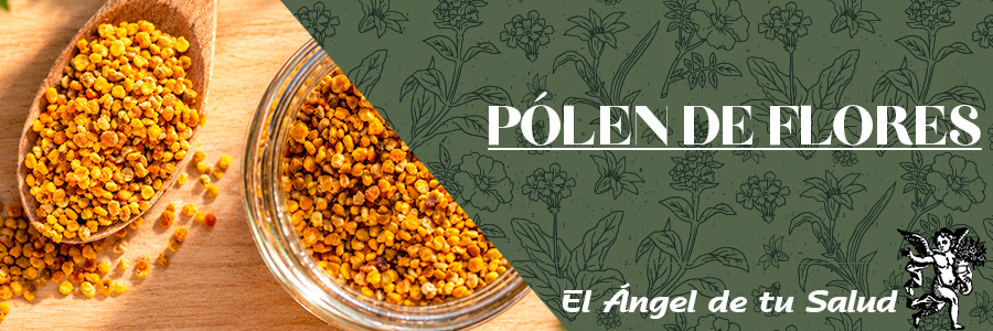 El polen es un polvillo recogido de los órganos masculinos recogido por las plantas en cargado de fecundar por sus órganos femeninos.