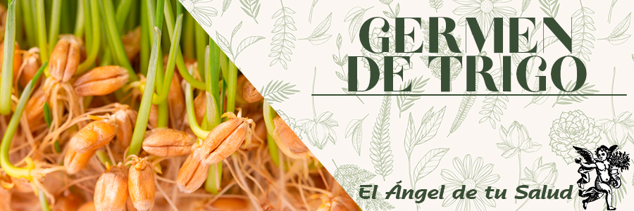 Se recomienda de manera muy amplia cuando somos aquejados por cansancio intelectual. Es eficaz como preventivo de la arteriosclerosis por su aporte en vitamina E, ayuda en trastornos digestivos.