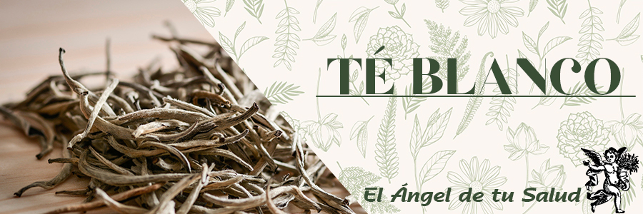  Este es un té muy recomendado para las personas que deseen perder peso, pues actúa como un depurativo y limpia todo nuestro sistema para que funcione de la mejor forma.