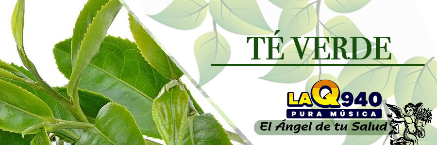 El té verde se usa para ayudar contra la aterosclerosis, colesterol LDL, cáncer, enfermedad inflamatoria intestinal, diabetes, hepatitis, pérdida de peso, enfermedades.