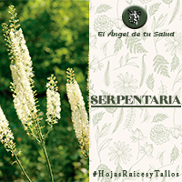 Ayuda a la parturienta a preparar su parto a raíz de las tomas regulares algunas semanas antes el parto y durante las contracciones uterinas.