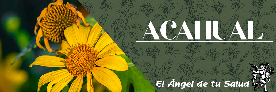 Internamente es eficaz para la insuficiencia cardiaca moderada y severa, la insuficiencia circulatoria en extremidades y los espasmos gástricos.