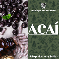 Las Bayas de Acai proporciona además antioxidantes de gran importancia (sustancias protectoras de las células), que rechazan los radicales libres protegiendo y fortaleciendo el cuerpo.