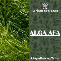 El Alga AFA posee alto contenido en ácidos glutámicos contribuye a reforzar la memoria, la capacidad de concentración, en la movilidad mental, la red comunicativa de las neuronas se estabiliza y se amplía.