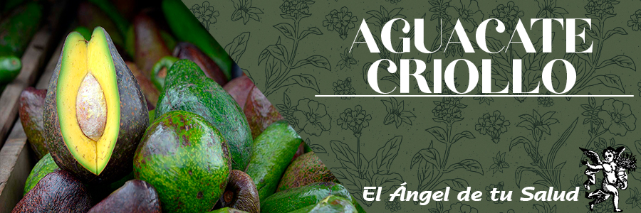 Es muy recomendada en padecimientos ginecológicos, utilizando el cocimiento de las hojas, tomado cuando hay cólicos menstruales y para facilitar el parto, con sal.