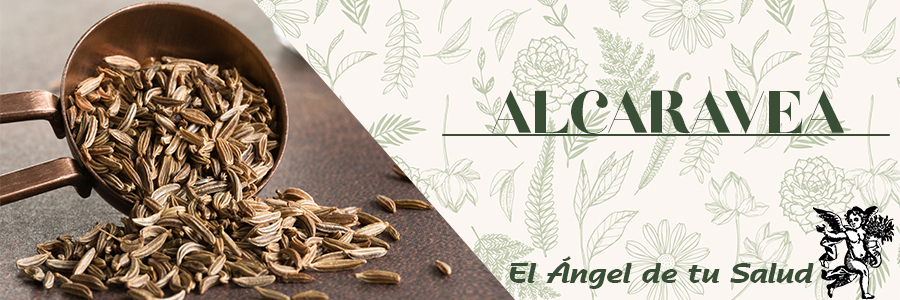 Evita las flatulencias y los cólicos, ya que favorece la disminución de la generación de gases en el tubo digestivo.