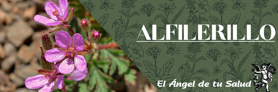 De manera exterior para lavar picaduras de insectos, mordeduras y otras infecciones de la piel.